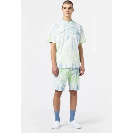 T-shirt met korte mouwen Dickies Seatac