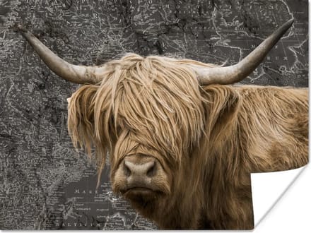 Wereldkaarten - Wereldkaart - Dieren - Schotse hooglander - 80x60 cm