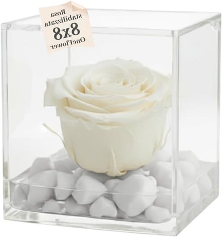 Geurende Rozen Cube - Eeuwige Bloem - Cadeau Geven - Echte Gestabiliseerde Roos - 8 cm - Roze