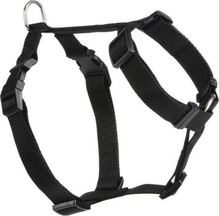 Beeztees Wandel- en Autogordel - Hond - Nylon - Zwart - 40-65 cm