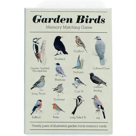 Geheugen ontwikkelingsspelletjes Rex London Garden Birds
