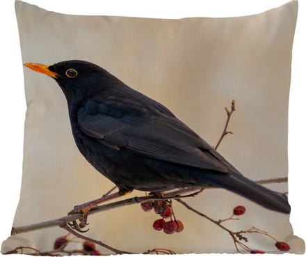 Tuinkussen - Merel - Vogel - Takken - Bes - Rood - 40x40 cm - Weerbestendig