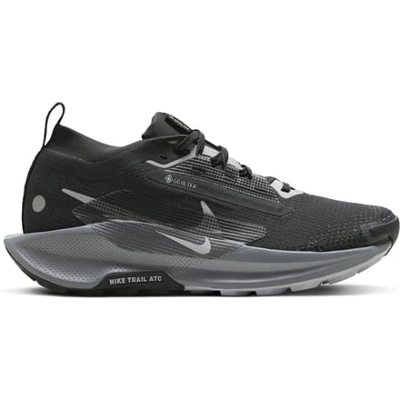 Damesschoenen Nike Pegasus 5 Gore-tex