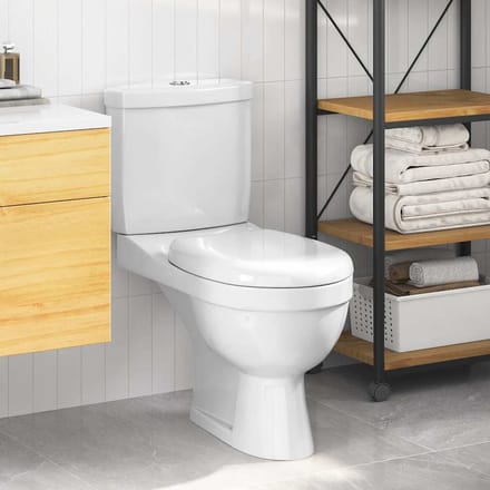 Vidaxl Toilettes avec Chasse d'Eau, Céramique Blanche