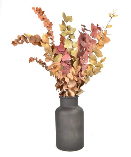Eucalyptus Takken - Herfst bladeren - Droogbloemen - Gepreserveerd