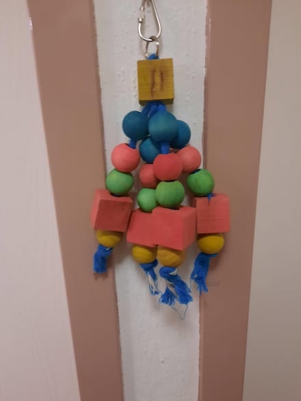 Geotoy