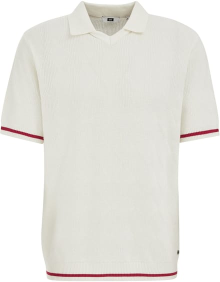 WE Fashion Heren regular fit polo met structuur