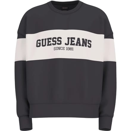 Oversized sweatshirt met ronde hals Guess GJ Horizont