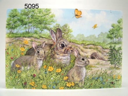 Geharo Placemat konijnen - 41 x 29 cm - gelamineerd