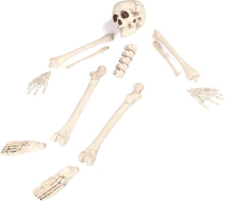 Vegaoo - Set van 12 skelet botjes