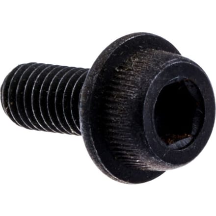 Screw