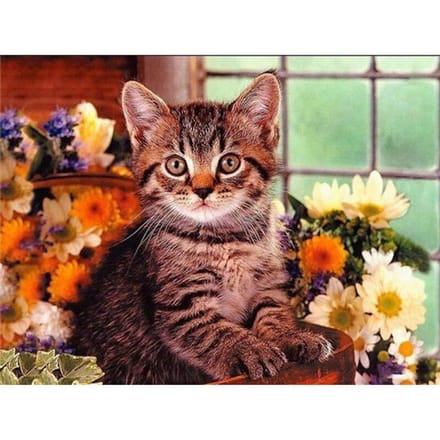 Peinture Diamant 5D Chat Broderie Diamant Ronde Complète Point de Croix 20X30CM beige