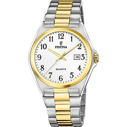 Festina Heren F20554/1
