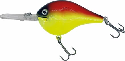 Albatros Catch21 Fat Belly Golden Dawn