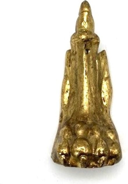 Messing decoratieve meubelvoet 'leeuw' glans (90x45mm)