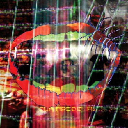 Animal Collective - Centipede Hz -Ltd
