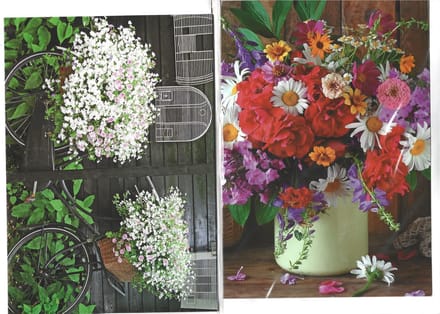 Blanko kaarten. Wenskaart met enveloppen. 10 stuks