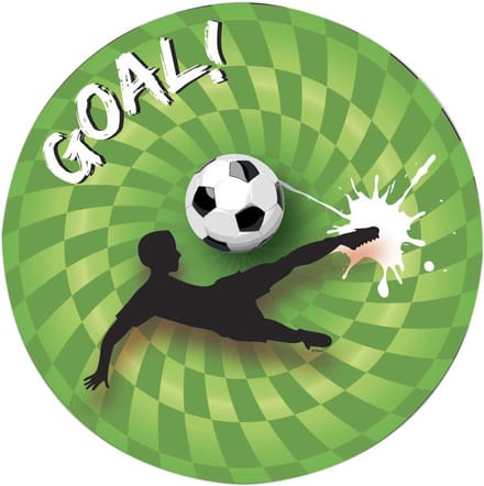 Haza Witbaard Boards Goal 8pcs.
