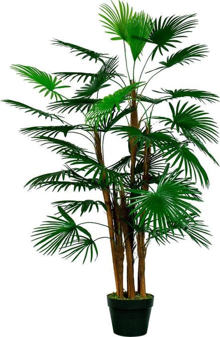 Kunstplant Rhapis palm H120cm - HTT Decorations kunstplanten
