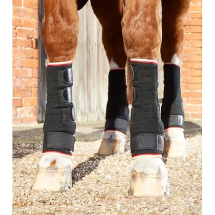 Sneldrogende beenkappen voor paarden Premier Equine