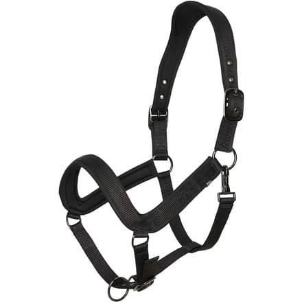Halster voor paarden HV Polo Essential