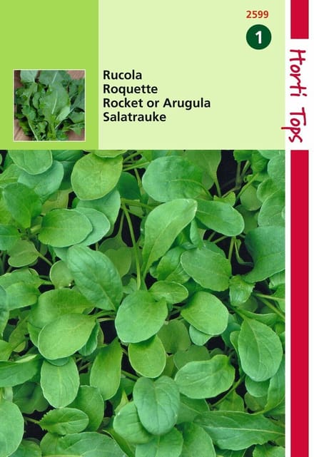 2 stuks - Hortitops - Rucola Coltivata Eruca Vesicaria Sativa