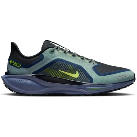 Hardloopschoenen Nike Pegasus 41 Gore-Tex