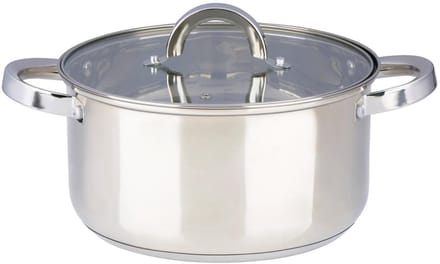alpina Pan met Deksel 6.1L Ø24Cm