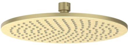 IVY Hoofddouche Medium 25 cm - Geborsteld Mat Goud