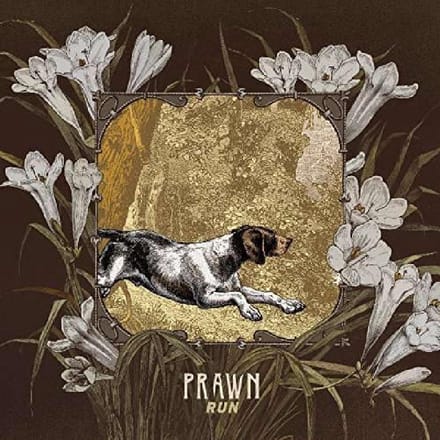 Run - Prawn