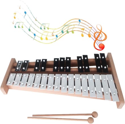 Muziek Speelgoed - Kinderxylofoon - Muziek Leren - 27 Kleurcodes - 50 cm - Multicolor