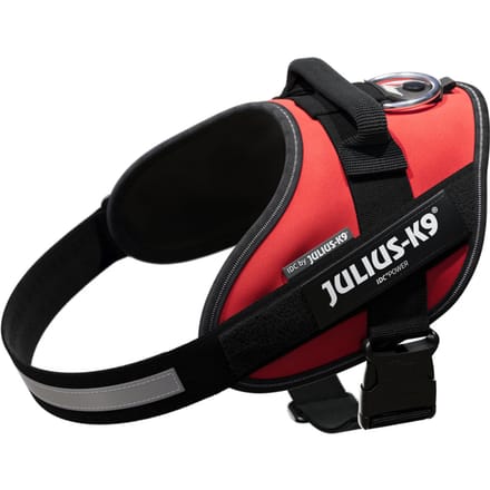 Maat M: borstomvang 58 - 76 cm - JULIUS-K9 IDC®-Powertuigje