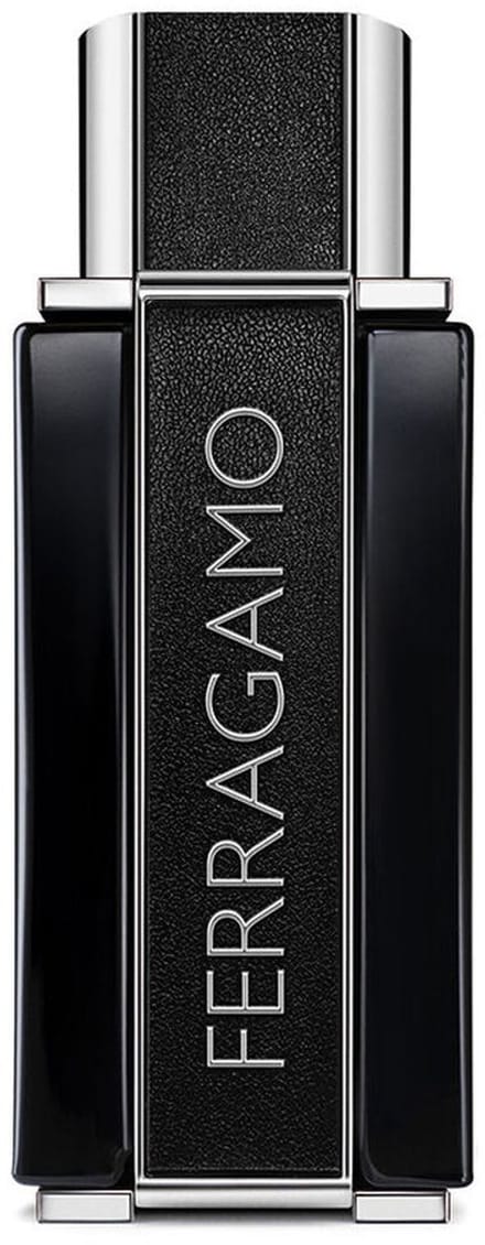 Herenparfum Salvatore Ferragamo FERRAGAMO SUBLIME LEATHER EDP 100 ml