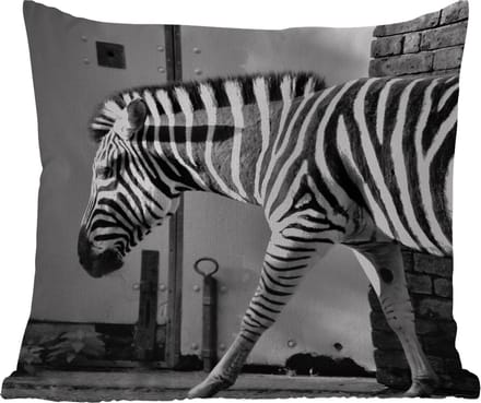 Tuinkussen - Zebra - Muur - Deur - Dieren - Zwart wit - 40x40 cm - Weerbestendig