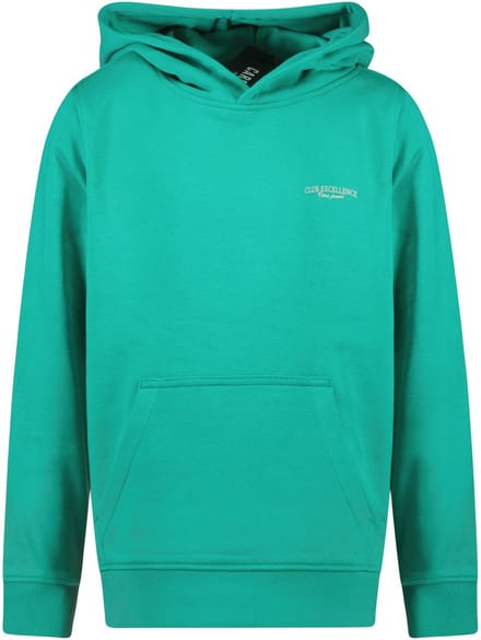 Cars Jeans - Celence Trui - Green - Maat 116