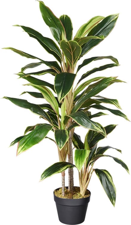 Kunstplant Cordyline breedbladig H100cm - HTT Decorations kunstplanten