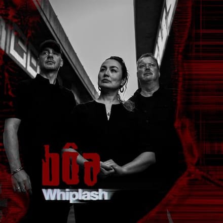 Whiplash - Boa