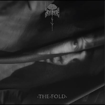 Antinoë: The Fold