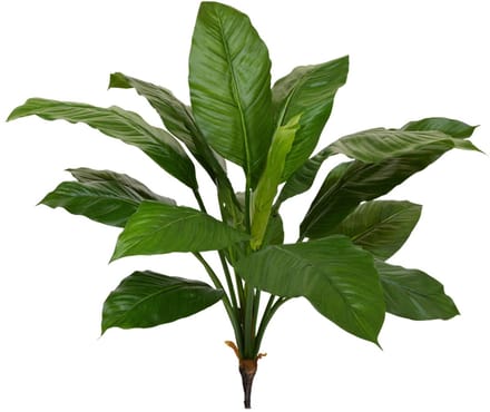 Spathiphyllum King kunstplant 80cm - groen