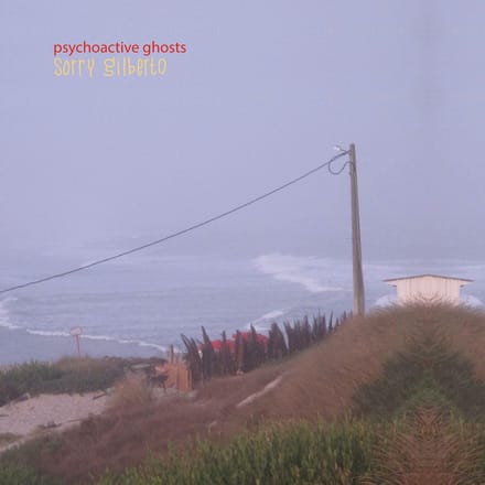 Sorry Gilberto - Psychoactive Ghosts (LP)