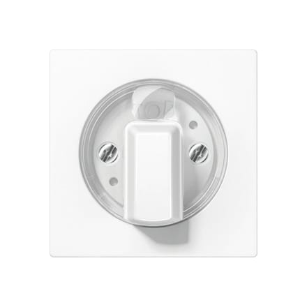 Jung AS500 Schakelelement/Centrale Plaat - A1541WW - E2SWQ