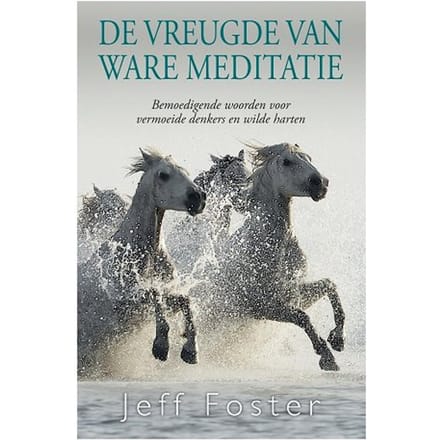 De Vreugde Van Ware Meditatie - Jeff Foster