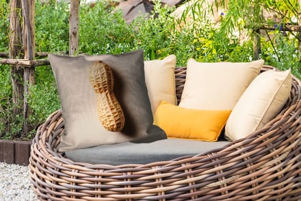 Sierkussen Buiten - Pinda - Ruw - Beige - 60x60 cm - Weerbestendig
