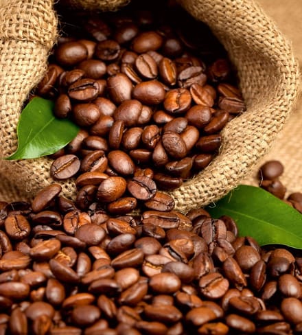 Fotobehang - Coffee Beans 225x250cm - Vliesbehang