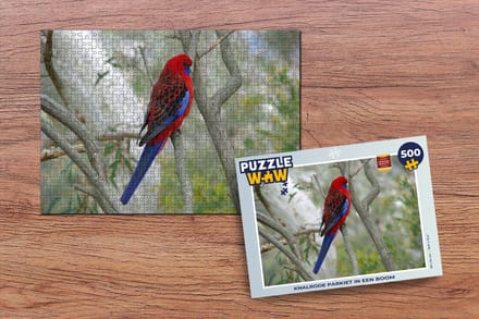 Puzzel Knalrode parkiet in een boom - Legpuzzel - Puzzel 500 stukjes