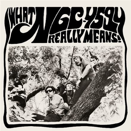 NGC-4594 - What NGC-4594 Really Means! (LP | 7" Vinyl)