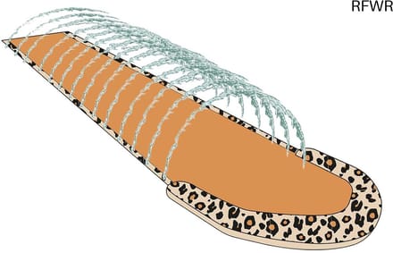 RFWR® Opblaasbare Waterglijbaan met Beige Panterprint - 5,5 Meter Voor Kinderen