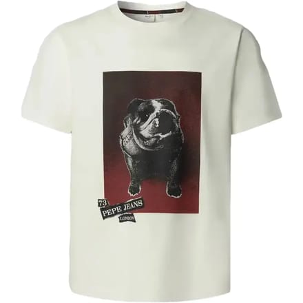 Pepe Jeans Gavin T-shirt Met Korte Mouwen Wit S Man