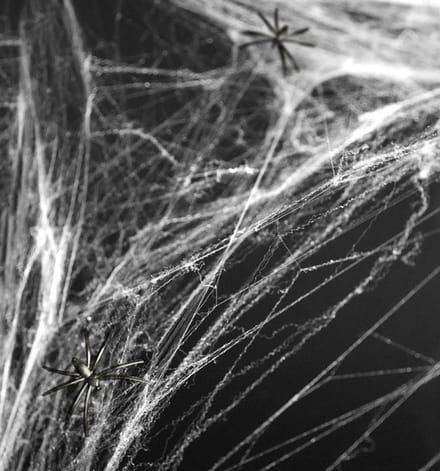 Spinnenweb decoratie - wit - met 2 spinnen - Halloween versiering - spinnenwebben - horror versiering