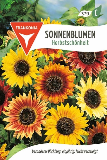 Zonnebloem - Herfstschoonheid - Bloemzaden Zonnebloemzaden Zaden